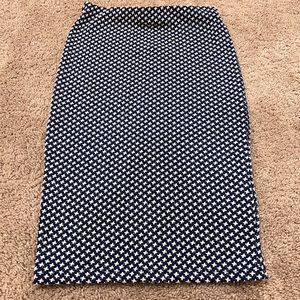 Zara Pencil Skirt